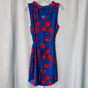 41 Hawthorn Small Blue and Red Poppy Dress